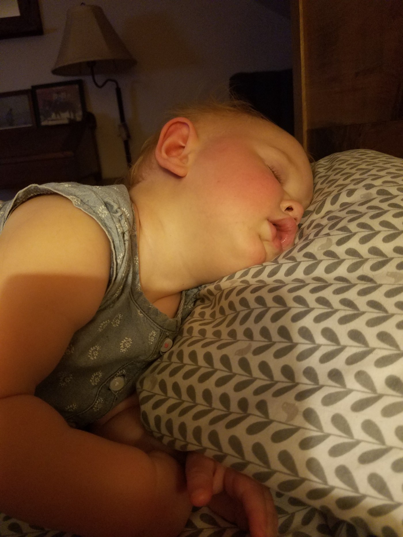Better Beauty Vermont Sleeping Toddler