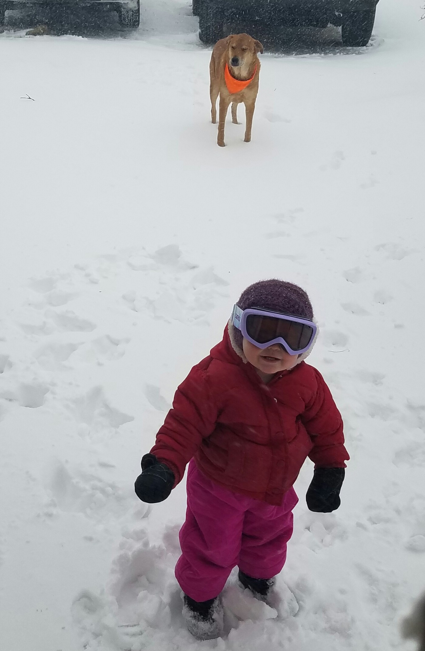 Better Beauty Vermont Toddler in Blizzard