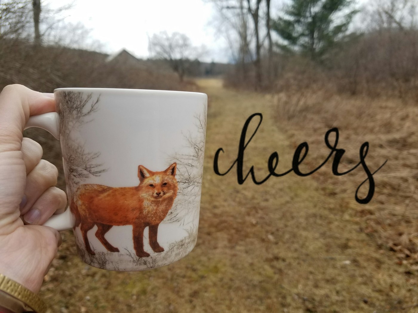 Better Beauty Vermont Fox Cheers