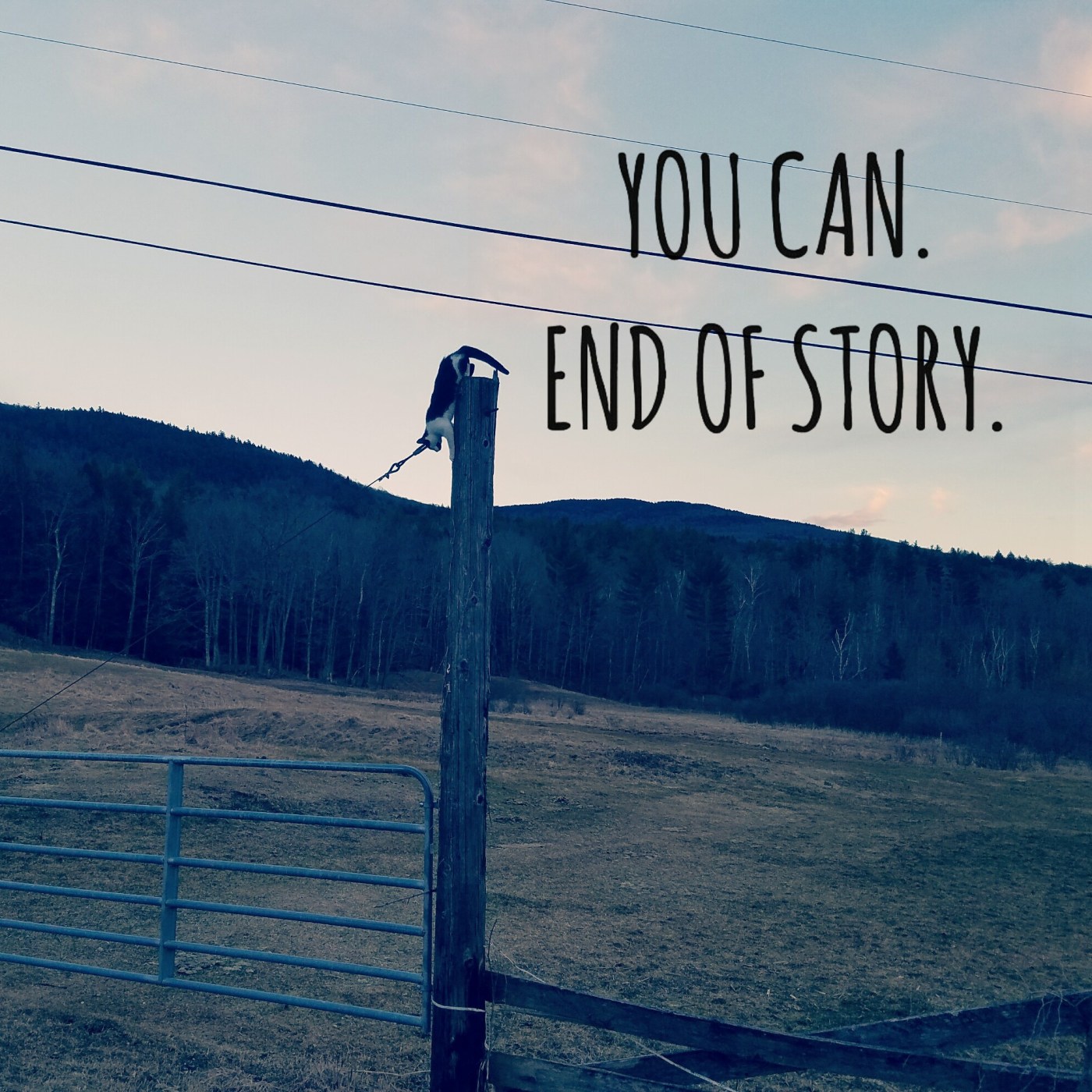 Better Beauty Vermont You Can. End of Story