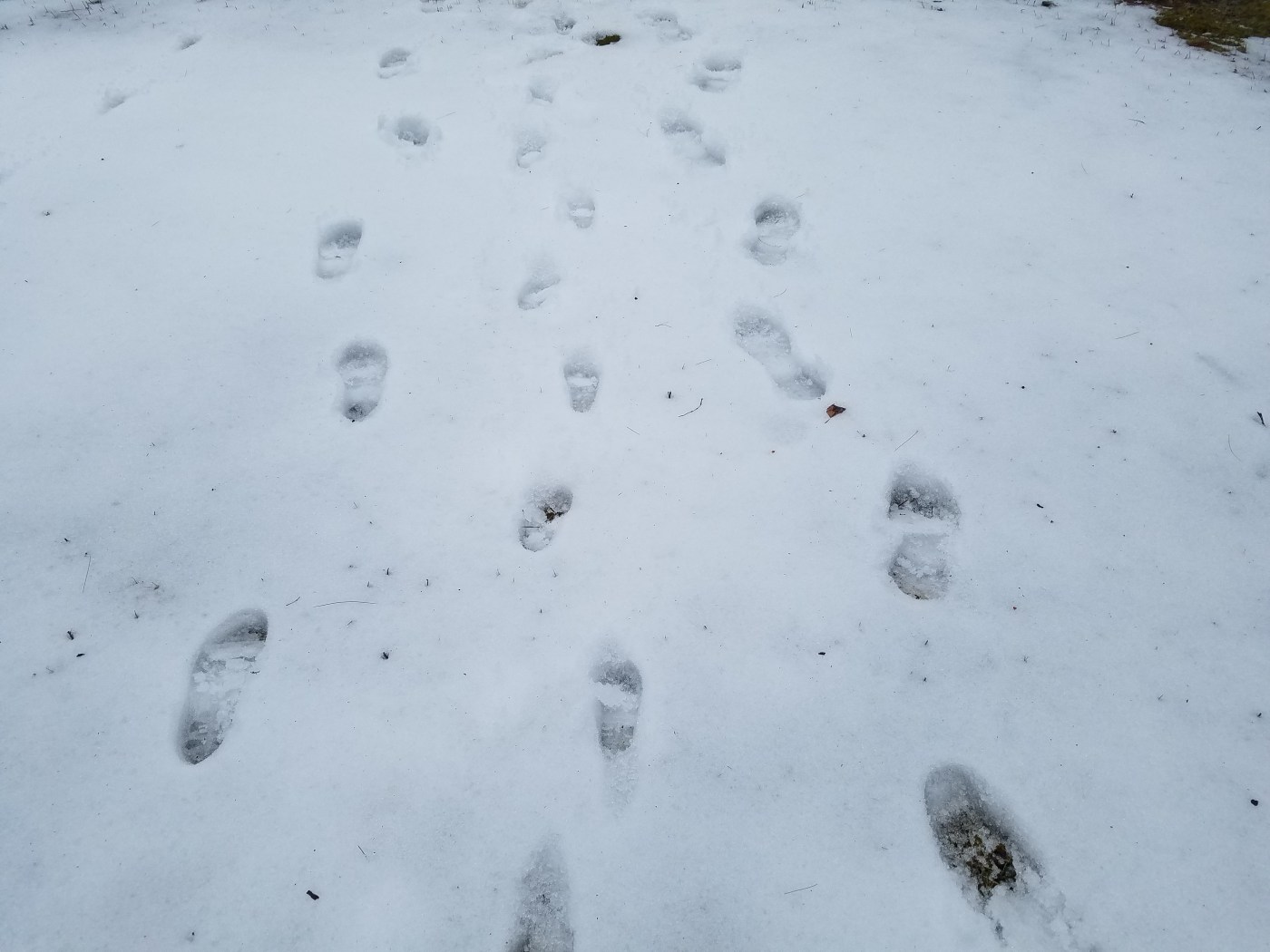 Better Beauty Vermont Footprints in snow toddler and mom