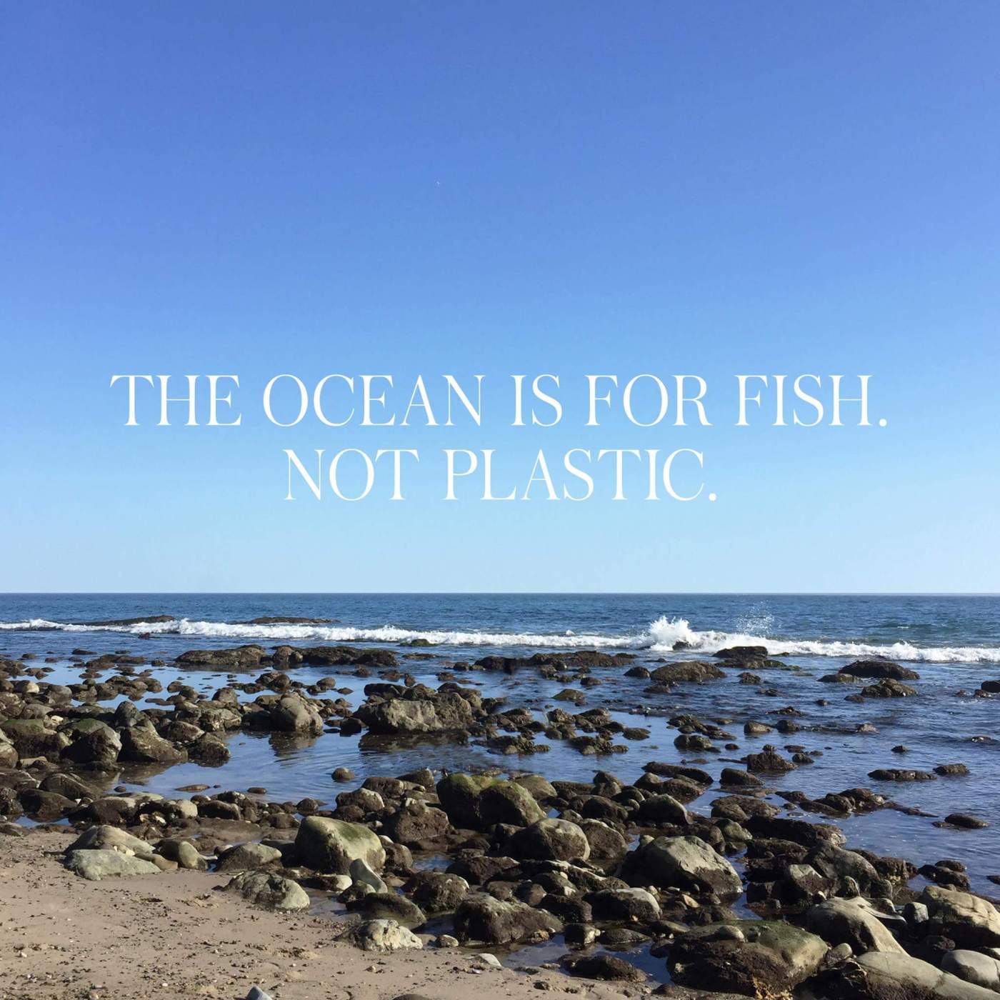 Better Beauty Vermont The Ocean is for Fish not Plastic