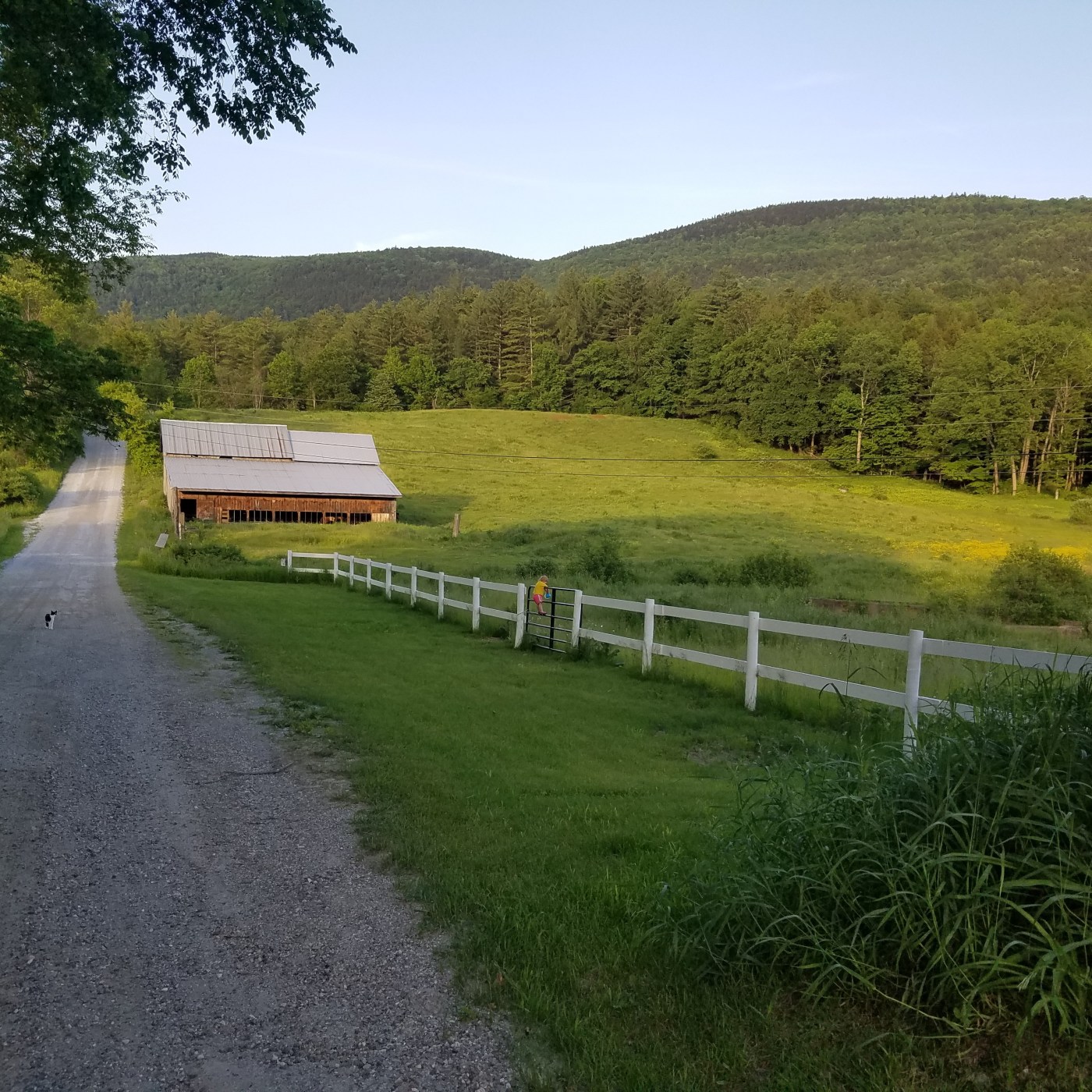 Better Beauty Vermont Toddler on Fence far away
