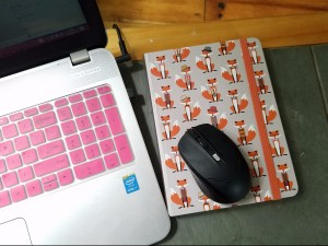 Better Beauty Vermont Fox Journal- keep a journal on your desk to help organize your mind and reduce stress