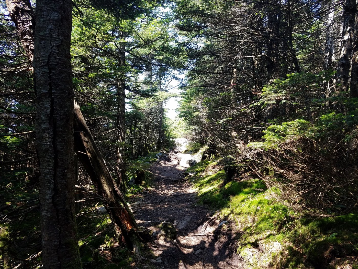 Better Beauty Vermont Get Outside- Enjoy Nature