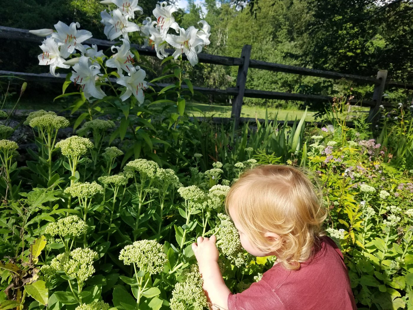 Better Beauty Vermont- Uncertain? Relax. Smell the flowers, You can do it!.