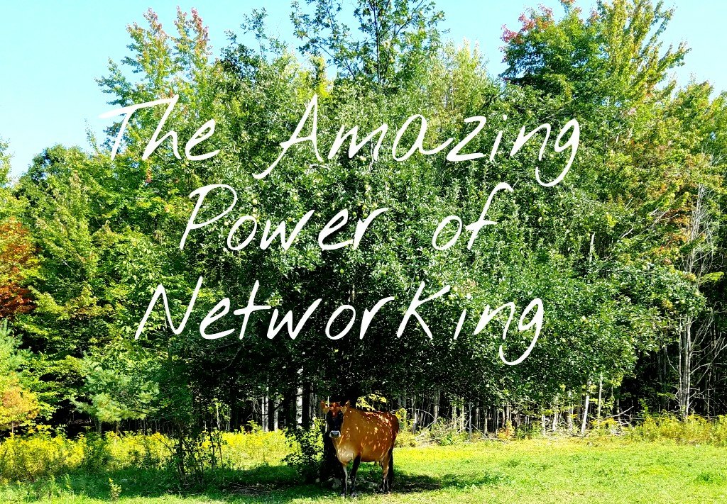 Better Beauty Vermont- the amazing power of networking