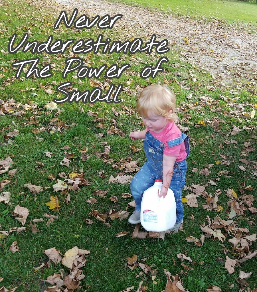 Better Beauty Vermont- Never Underestimate the Power of Small