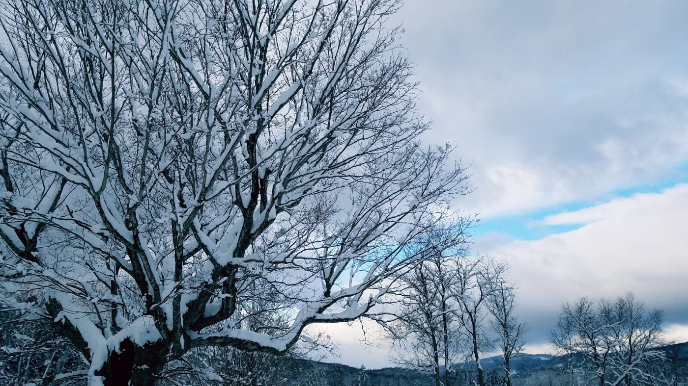 Better Beauty Vermont Spring is Here