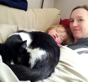 Better Beauty Vermont- Cat Naps are the Best